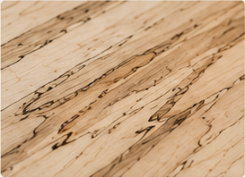 Spalted Wood Species Sample